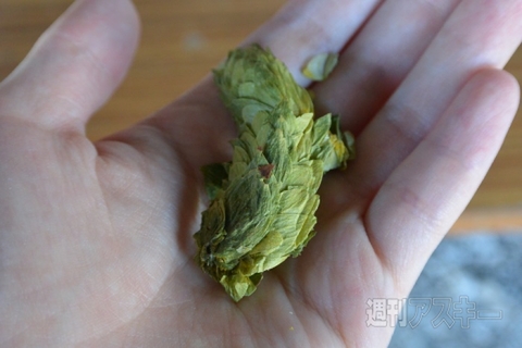 「よなよなエール」醸造所見学