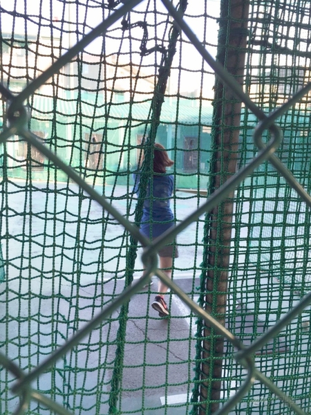 ナベコの取材日記