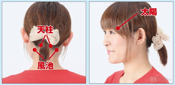 エレコム・エクリア