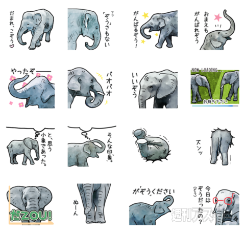 20日：今日は何の日