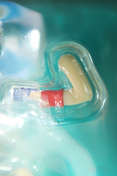 バニースタイルで「小鳥遊六花」「永塚紗季」が登場！