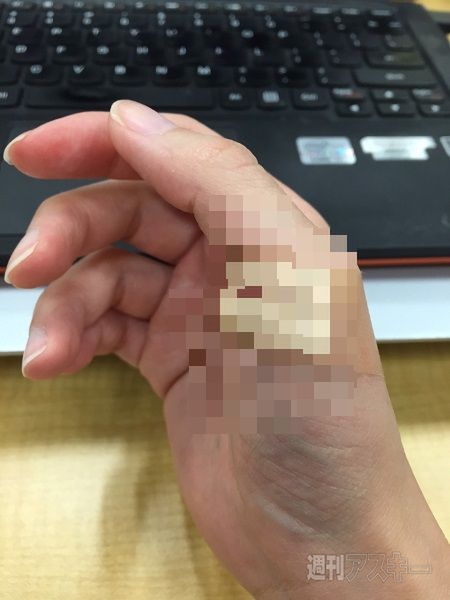 ナベコの取材日記