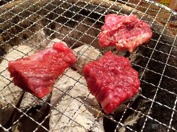 ナベコの取材日記