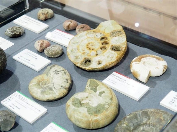 惑星イスカンダルはどこにあるの