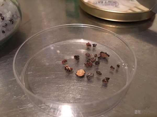 人生初トリュフ