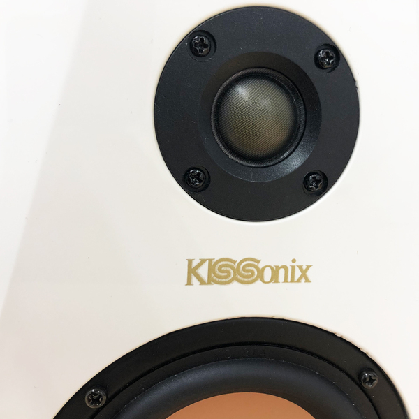 聴覚AIがオーディオを変える、3D処理でスゴい音が聞ける「KISSonix HDS4」
