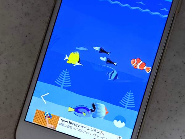 Ascii Jp Iphone見ないとムズムズするのはさすがにヤバいと思って魚を育てはじめました