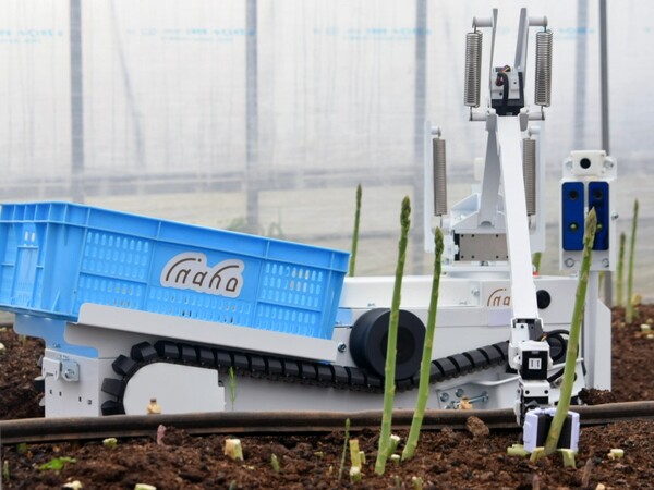 自動野菜収穫ロボットが農家を救う！ 人手不足解消と生産性アップを目指すinaho