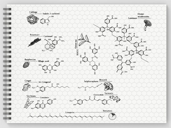 Ascii Jp Iphoneユーザーならどう使う Iosアプリ設計ノートを楽しもう