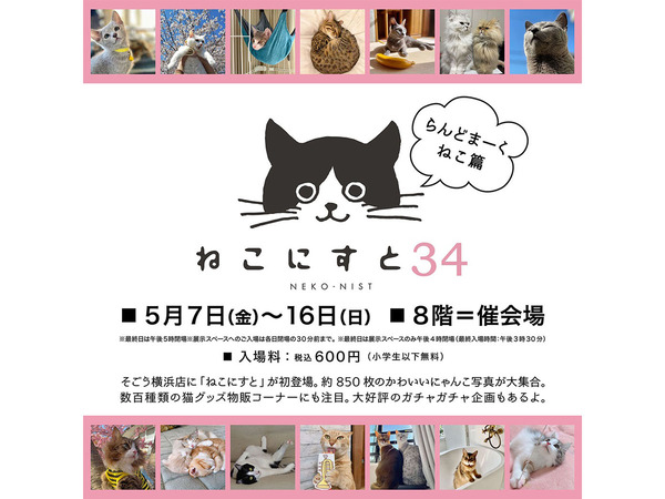 Ascii Jp 猫グッズ かわいいニャンコ写真が大集合 ねこにすと 34 らんどまーくねこ篇 そごう横浜店で開催中