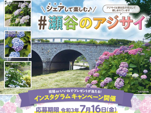 Ascii Jp 横浜市瀬谷の花 アジサイ をsnsで楽しもう インスタグラムキャンペーン7月16日まで開催中