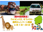 栃木県民限定でライオンバス・サファリカーが無料！ 那須サファリパークにて6月1日～30日実施【東北自動車道 那須ICより車で約7.5km】