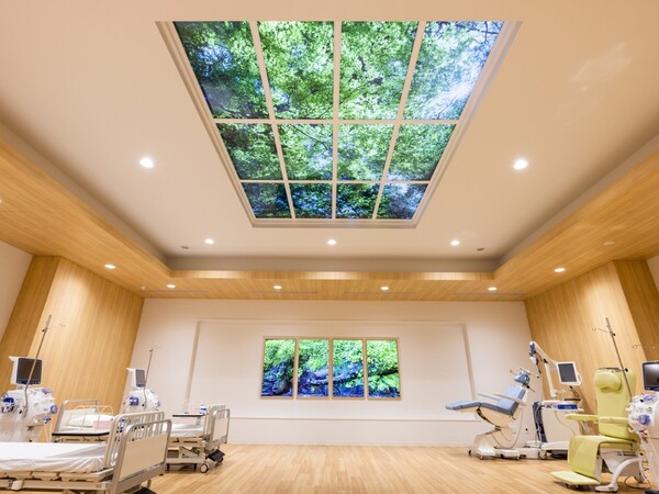 ランドスキップ、室内天井に設置するデジタル天窓「Window Sky」を発売