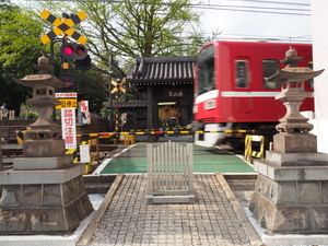 【連載】神奈川区は電車がいっぱい！　～「かめ太郎」おすすめの電車が見えるスポット～