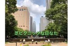 【連載／日なたハンターvol.3】芝ピクニックな日なたdeデトックス～新宿中央公園～