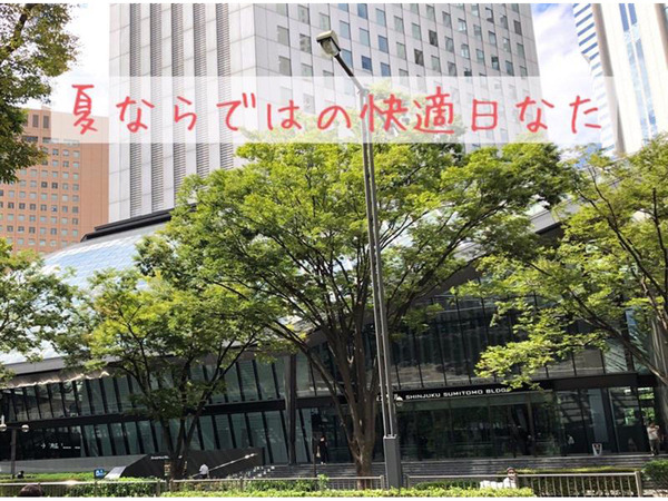 Ascii Jp 連載 日なたハンターvol 4 夏ならではの快適日なたdeデトックス 新宿住友ビル三角広場 西