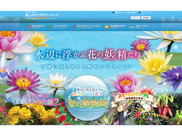 花 ページ オレンジページ 花カレンダー 2026壁掛 通販｜セブンネットショッピング