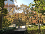 連載：【新宿／中央公園】魅力を再発見！