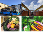 ルーフトップバス＆収穫体験で横浜の地産地消を楽しもう！ 「横浜・食農体験ツアー」11月27日・12月17日開催