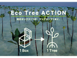 シチズン、時計ボックスひとつが苗1本になる「Eco Tree ACTION」にて2万7000本のマングローブ苗を寄付