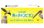 鳥の生態を知ろう！　我孫子市 鳥の博物館で第88回企画展「鳥のチャンピオン」を開催中【常磐自動車道 柏ICより車で約16km】