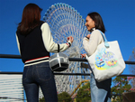 ふるさと納税で「YOKOHAMA AIR CABIN オリジナルハンドバッグ」をもらおう！ 横浜市×キタムラ オリジナルバッグなどが「ふるさとチョイス」に登場