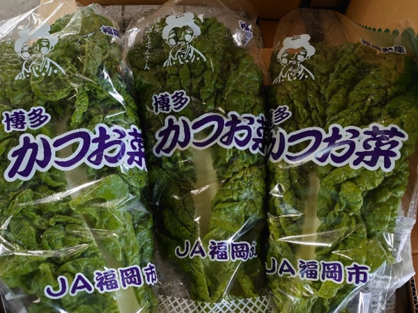 Ascii Jp 博多っ子が愛する正月の味 かつお菜 の魅力にせまる