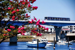 横浜の魅力を再発見！ 「ヨコハマの橋」フォトコンテスト2021の入賞作品が決定