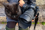ニコンのハイエンドカメラ「Z 9」を持って広島・鞆の浦で猫撮影三昧