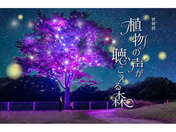 Ascii Jp 植物の声を聞いてみよう 九州市立響灘緑地 グリーンパークにて 世界初 植物の声が聴こえる森 3月21日まで開催