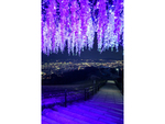 北九州の夜景を臨む観光地を鮮やかにライトアップ！ 夜間実証実験「皿倉山山頂展望台イルミネーション」3月13日まで開催中