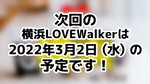 次回の横浜LoveWalkerは3月2日（水）を予定しております！