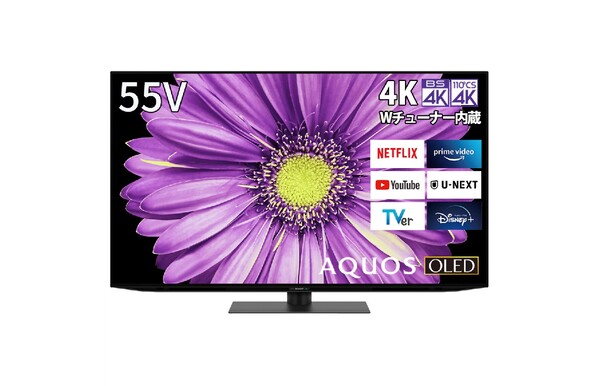 有機ELテレビ 55V型 4KBS・CS 4Kチューナー 【公式通販】