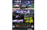 川原寺に幻想的な光の桜が浮かぶ！　2022年度春のプロジェクションマッピング「幻桜の夜」を3月25日より開催