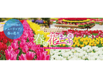 開園25周年の記念感謝祭！ あしかがフラワーパーク「春の花まつり 2022」4月10日まで開催【東北自動車道 佐野藤岡ICより車で約12km】