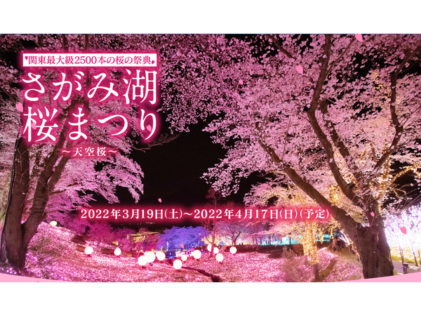 Ascii Jp さがみ湖リゾート プレジャーフォレストにて さがみ湖桜まつり 夜桜イルミオン 3月19日 4月17日開催