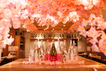 店内で満開の桜と日本酒を楽しめる！ 日本酒原価酒蔵「店内お花見キャンペーン」5月5日まで