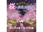 琵琶湖疏水にて「びわ湖大津 春のライトアップ 桜の琵琶湖疏水」3月25日～4月10日開催