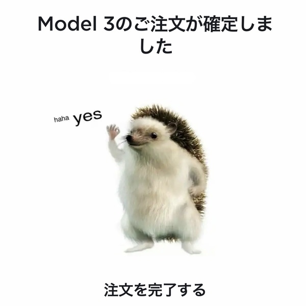 テスラのハリネズミぬいぐるみ haha yes Tesla Hedgehog Doll テスラ ハリネズミ - メルカリ