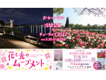 桜並木や人気の風車などを一体的にライトアップ、都立浮間公園にて「花と光のムーブメント」4月17日まで開催中