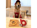 愛犬と一緒に食べられる「わんこピザ」ピザーラ店舗限定で販売