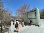 春の箱根・仙石原「ポーラ美術館20周年展」は、モネからリヒターへ