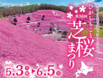 芝桜の大パノラマを見に行こう！　「第38回 ひがしもこと芝桜まつり」6月5日まで【美幌バイパス 美幌ICより車で約24km】