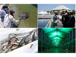 6月5日の「環境の日」に海の環境問題を学ぼう！　横浜・八景島シーパラダイスが環境啓発イベントを開催