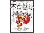 科学と芸術が融合した不自然な植物アート！　角川武蔵野ミュージアムにて特集展示「不自然（マンメイド）な植物展」7月31日まで開催【関越自動車道 所沢ICより車で約3.5km】