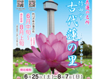 42種約12万株の蓮の花が見頃！　埼玉県行田市「古代蓮の里」開花期営業、6月25日から【東北自動車道 羽生ICより車で約10km】