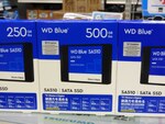 WDからクリエイター向けのSATA SSD「WD Blue SA510」シリーズが発売