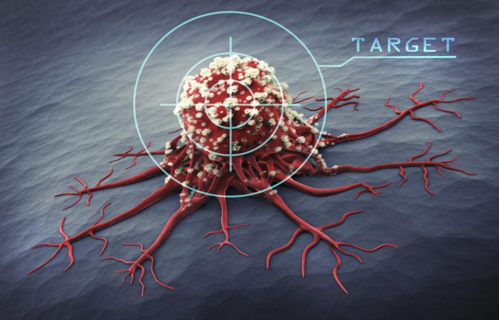 A targeted virus, molecular scale view CG render