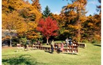 紅葉に囲まれた広場で読書を楽しもう！　「星野温泉 トンボの湯」前の広場で「紅葉図書館」を開催【上信越自動車道 碓氷軽井沢ICから約13.5km】