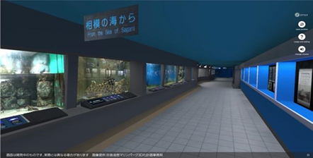「VR京急油壺マリンパーク」、VR水族館としてネット上で無料公開